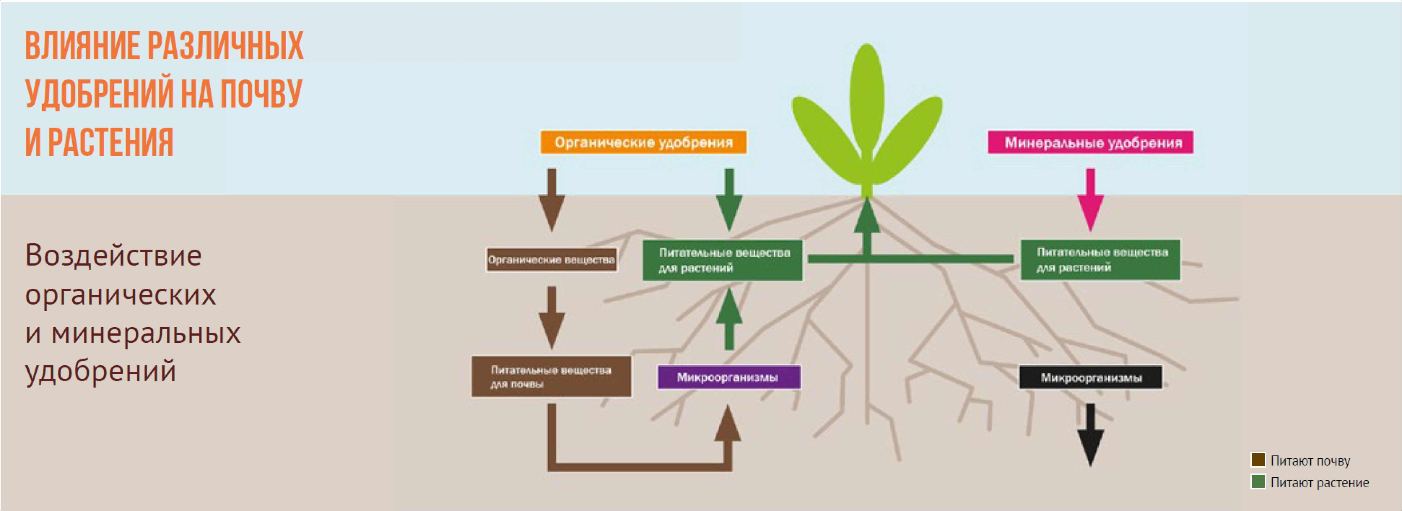 Fertilizer application diagram