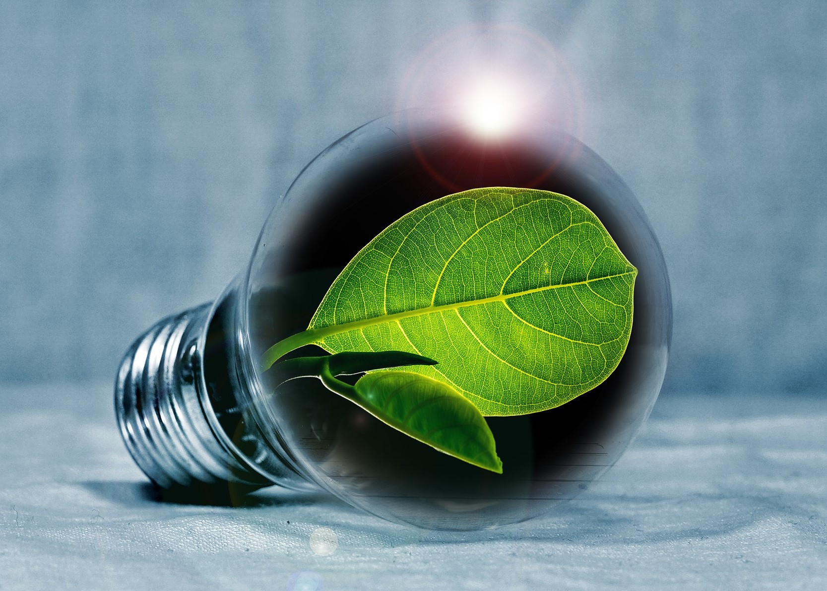 THE LATEST NEWS OF ADGEX ENERGY DIVISION.