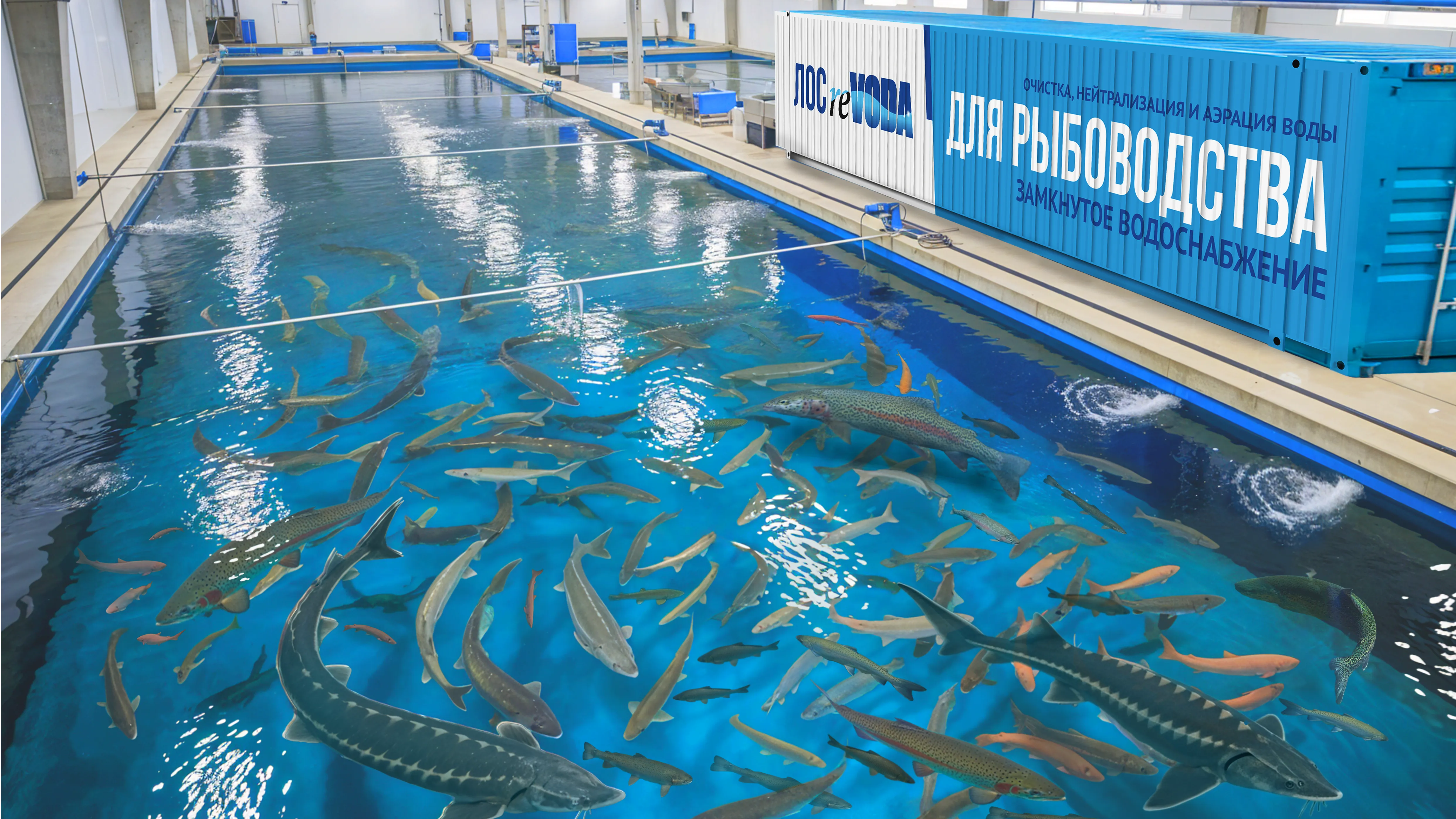 Water for fish farms / RAS