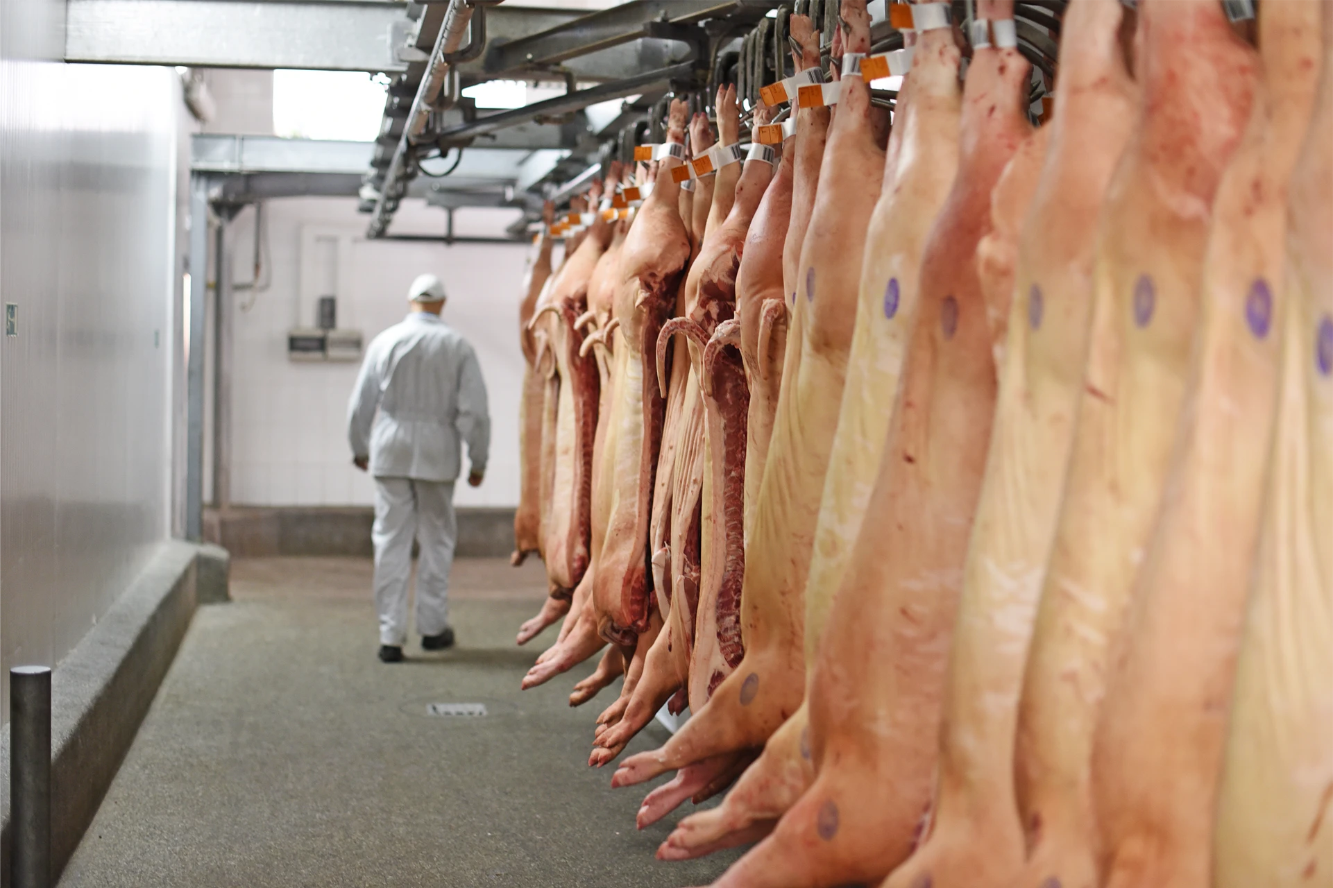 Slaughterhouse wastewater treatment