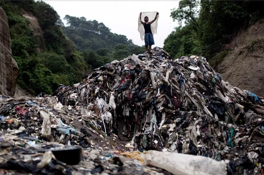 Waste management and utilization